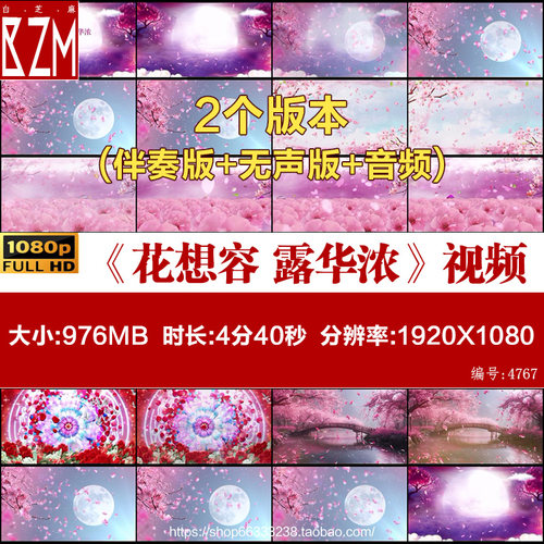 群舞《花想容 露华浓》唯美国风 古典古风舞蹈背景视频素材