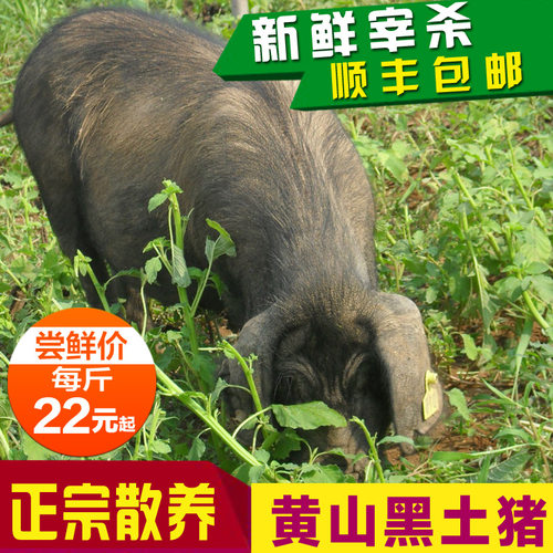 原生态新鲜散养现杀五花肉