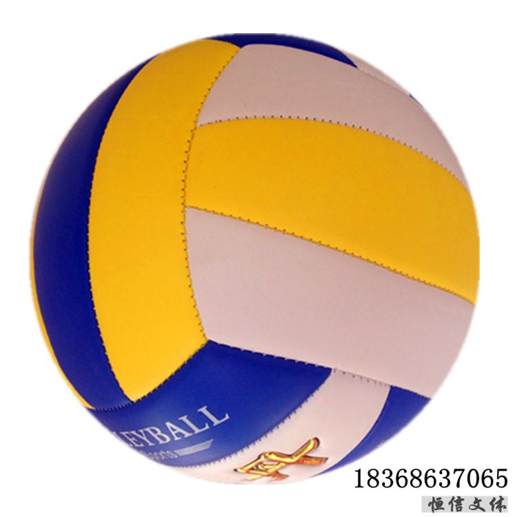 Ballon de volley - Ref 2008689 Image 5