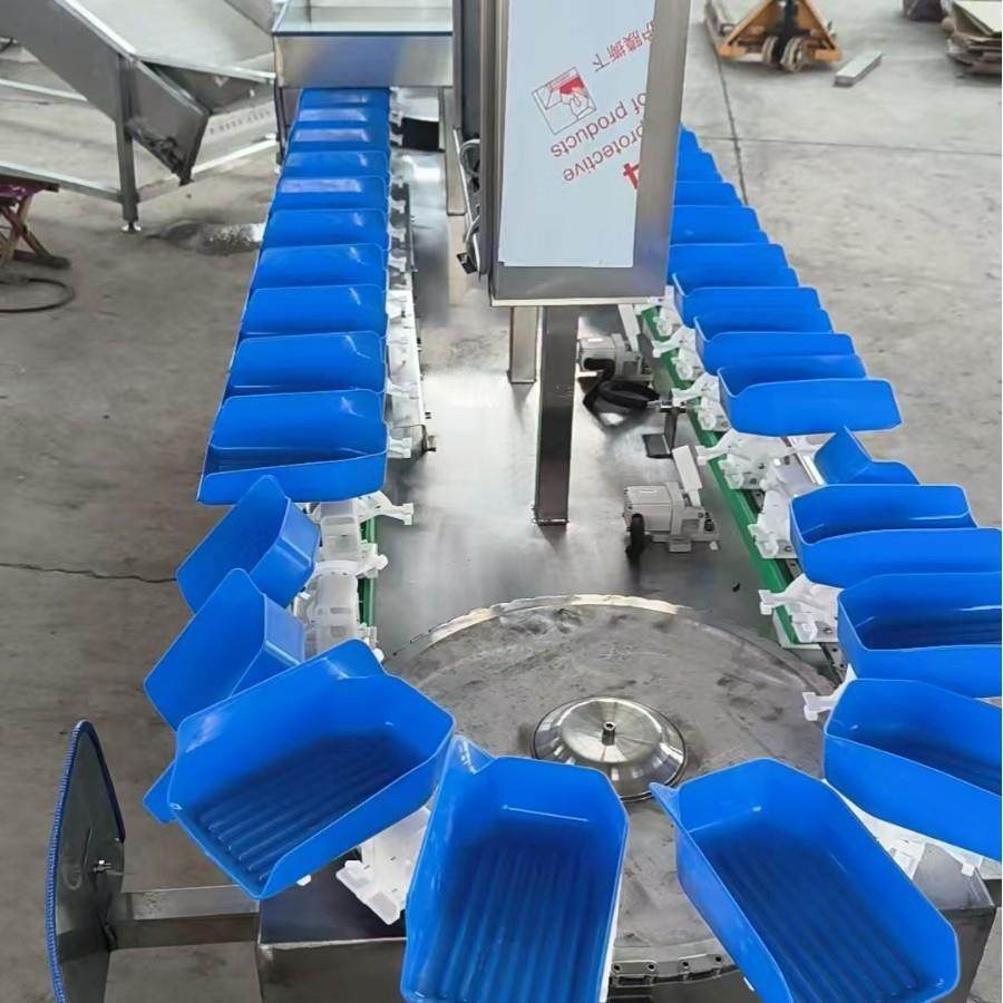 生蚝全自动重量分选机海参人参自动分级机即食海参高精度分选机,清洗/食品/商业设备,其他食品加工设备,淘宝优惠券,粉丝福利购,淘宝优惠卷