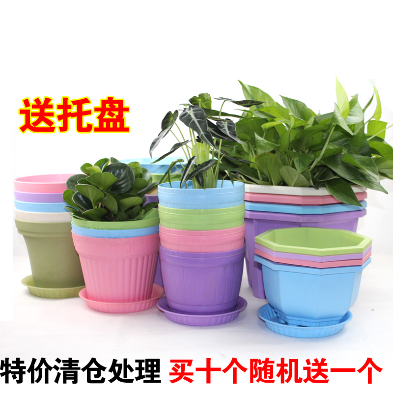 塑料植物花盆大号创意圆形托盘