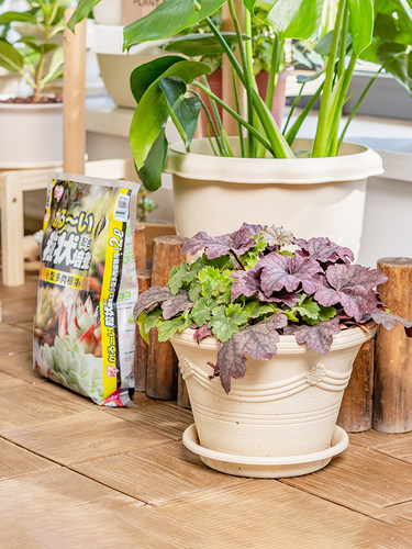 爱丽思田园风新款性价比高