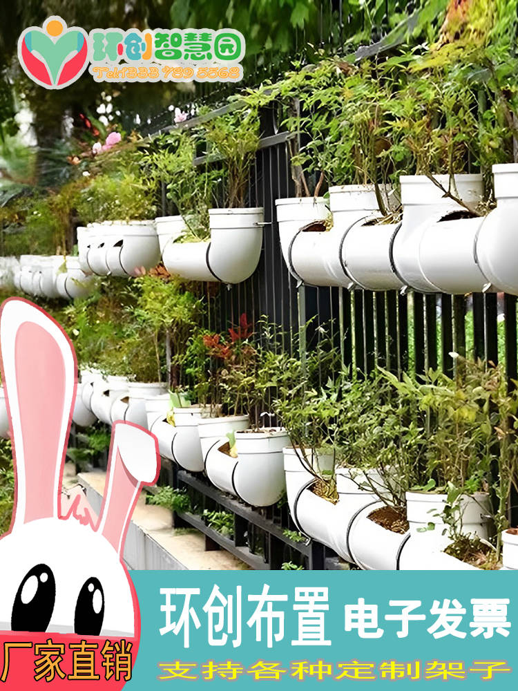 幼儿园花架环创植物角