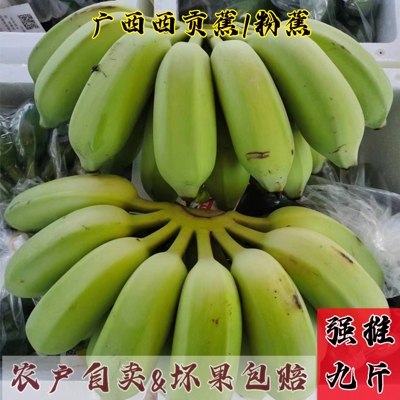 广西特产西贡蕉现砍现发产地直发