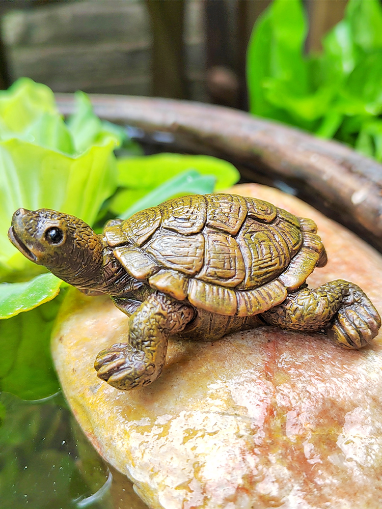 仿真小乌龟摆件花园微景观假山水池鱼池水族鱼缸造景装饰品小海龟