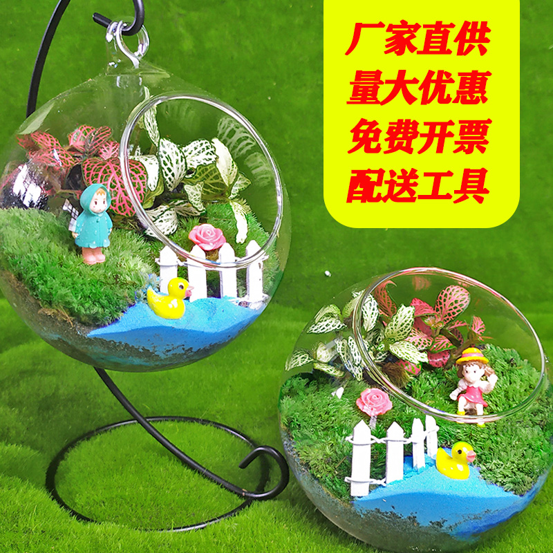 diy微景观生态瓶DIY绿植活动用品