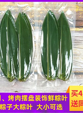 粽子叶新鲜粽叶摆盘装饰竹叶小叶子商用包粽子专用大号鲜棕叶箬叶
