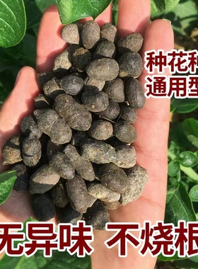 纯羊粪肥发酵有机生物肥瓜果花卉专用风干颗粒肥料油渣油枯油饼
