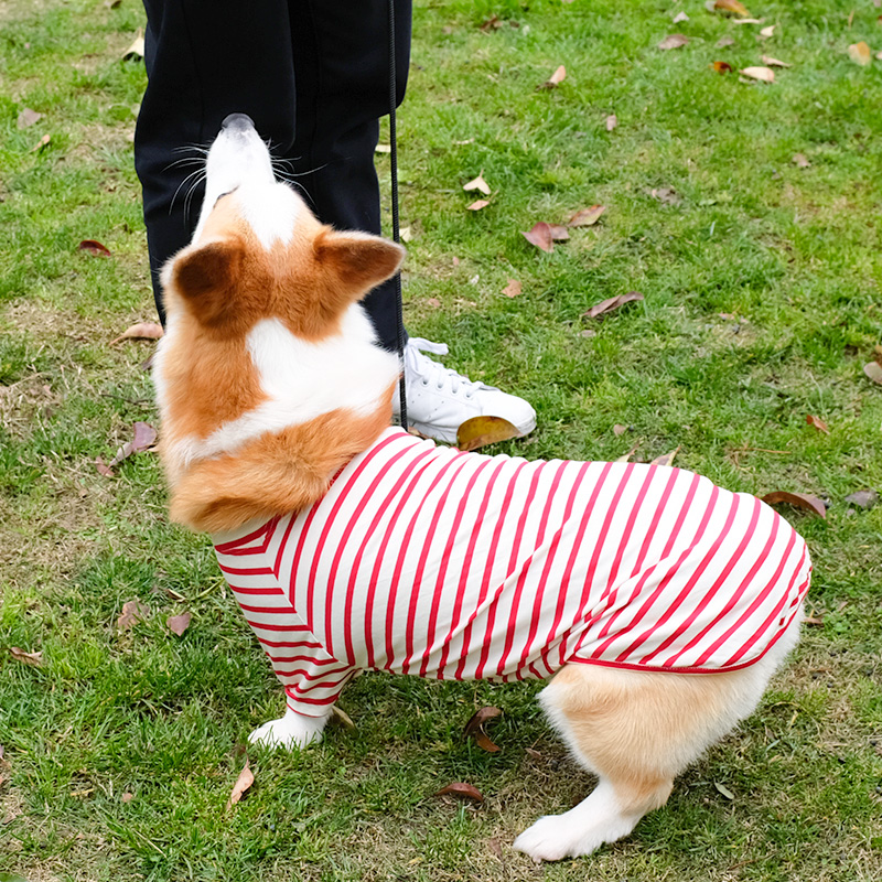 柯基衣服夏季薄款柴犬腊肠夏天小型中型犬幼犬防掉毛宠物狗狗夏装