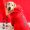 (New Year Hoodie) Big Red Dog Strong Family Prosperity