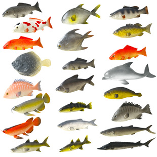 仿真鱼模型假红鲤鱼鲫鱼扁鱼金枪鱼海洋鱼类动物装饰道具儿童玩具