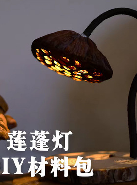 幼儿园手工莲蓬台灯diy材料包植物手工亲子团建制作主题活动礼物