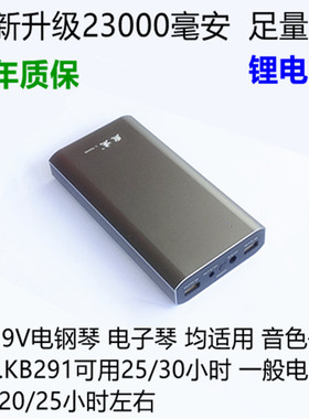 291雅马哈KB309 290电子琴户外便携移动电源锂电池12V充电宝瓶308