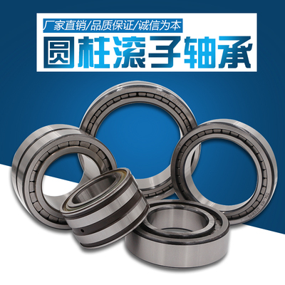 NJG/SL轴承192308 192309 192310 192311 192312厂家直销高速静音