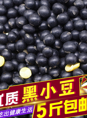 黄芯小黑豆8.6元/500克  老品种黑豆味更浓更香