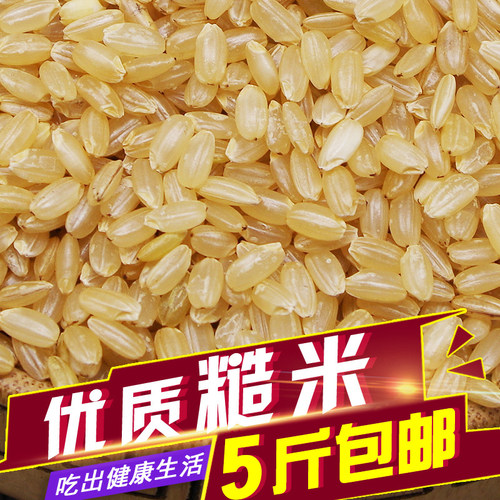 新货优质会发芽的糙米