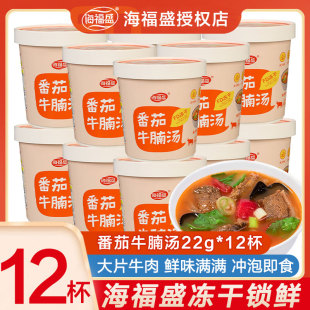 海福盛番茄牛腩汤22g 整箱早餐冲泡即食冻干粥免煮速食家用 12杯装