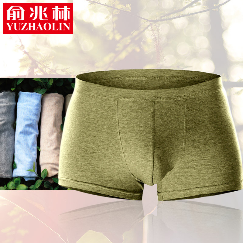 男士内裤纯棉短裤衩青年全棉中腰