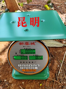 云南春城牌150kg电子秤100kg方盘称平秤电子度盘秤60公斤30公斤