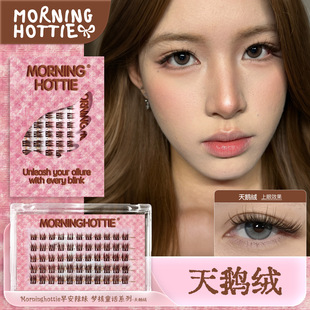 早安辣妹「天鹅绒」原创新品 黑棕色混血毛绒绒温柔感单簇假睫毛