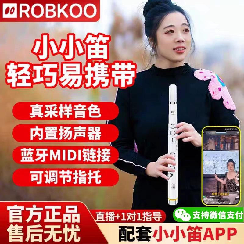 锣钹小小笛电吹管初学者老人乐器