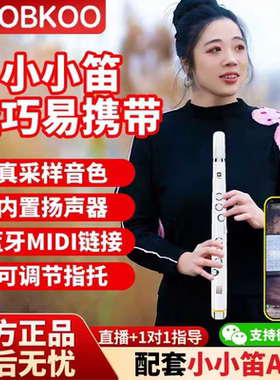 锣钹小小笛电吹管初学者老人乐器