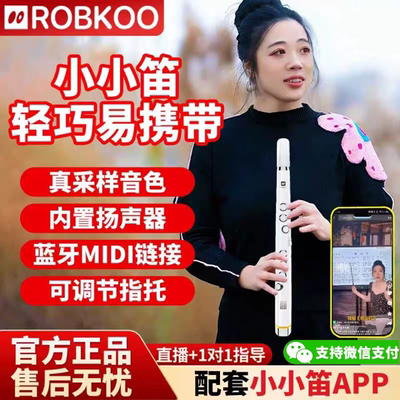 锣钹小小笛电吹管初学者老人乐器