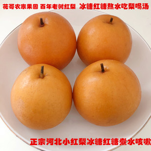 河北魏县小红梨铁梨新鲜孕妇水果5斤沙梨子酸甜冰糖煮水咳硬皮梨