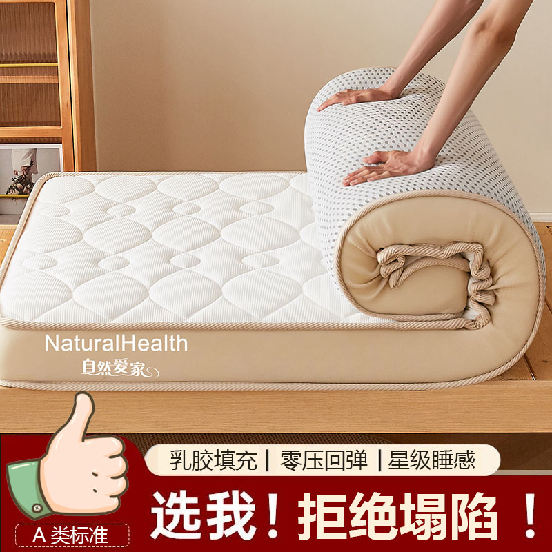 床垫家用卧室软垫租房专用垫子