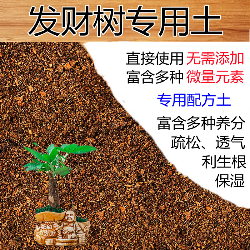 发财树椰糠种植泥炭土透气包邮