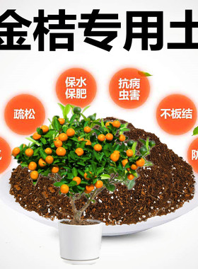 弱酸性盆栽花卉透气专用土