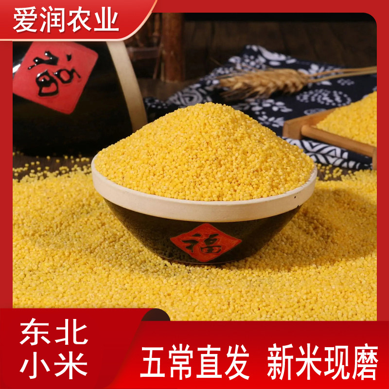 神农圣恩品牌东北黄小米
