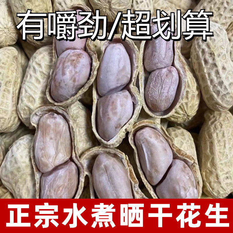 1-5斤特价水煮盐花生晒干白晒不脆口感有嚼劲五香蒜香咸干酥脆