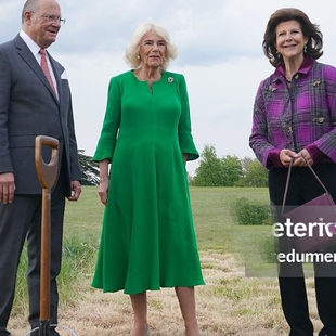 大摆裙秋冬英伦优雅 长袖 高级定制王后同款 绿色羊毛连衣裙长裙修身