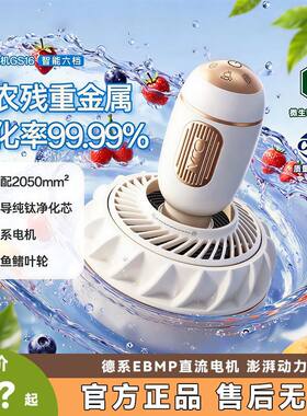 OJA果蔬清洗机食材净化洗蔬菜