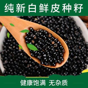 新采药材种籽白鲜皮种子春秋播种八股牛山牡丹羊鲜草中草药发芽高