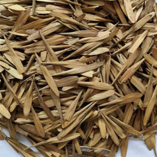 白蜡种子 对节金叶白蜡种籽 小叶大叶树籽速生白蜡种子白蜡树种子