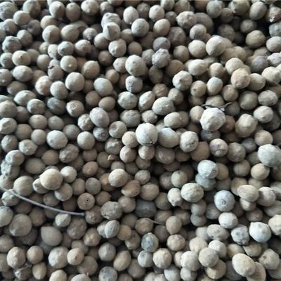 椴树种子康椴树千层皮火绳树紫椴种国产大叶椴种子青科榔四季播