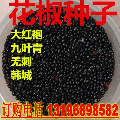 大红袍九叶青韩城无刺花椒种子图片