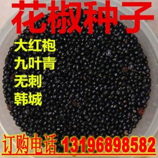 大红袍花椒种子 九叶青 韩城花椒树种子 四川无刺花椒种子包邮