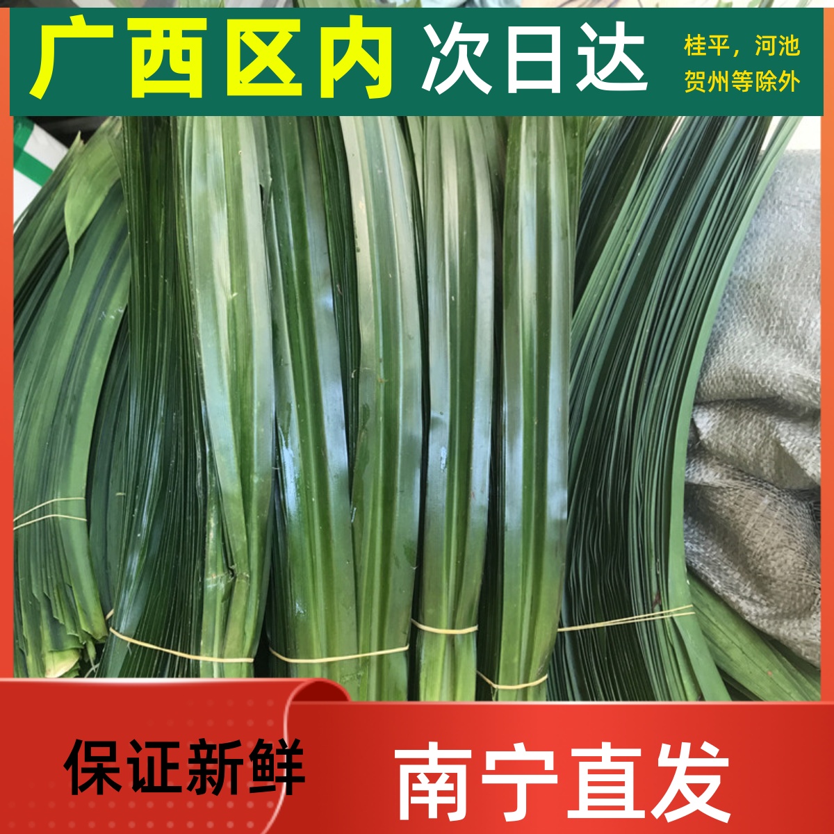 泰国斑斓叶新鲜食用香兰叶