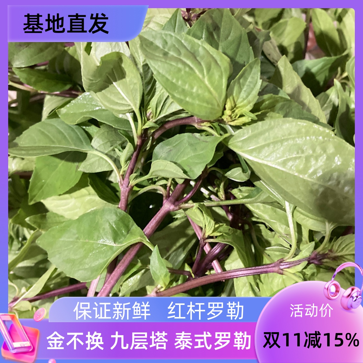 冬阴功汤料新鲜罗勒九层塔