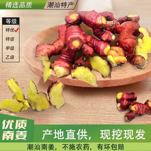 新鲜南姜鲜良姜产地直发