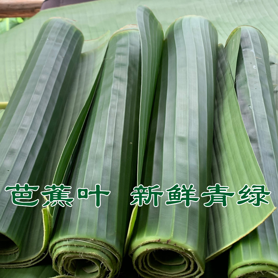 芭蕉叶新鲜蕉叶蕉焦巴焦叶做烧包做粑粑粽子1斤食用 摆盘新鲜采摘