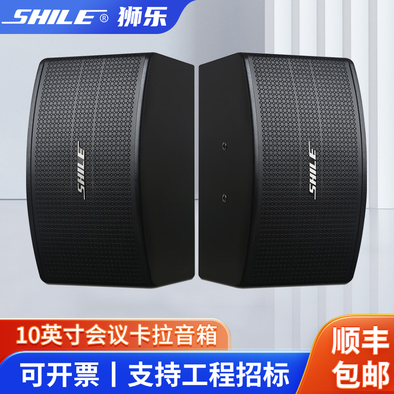 狮乐（SHILE）KTV-04专业十英寸KTV音箱家用卡拉OKk会议室音箱