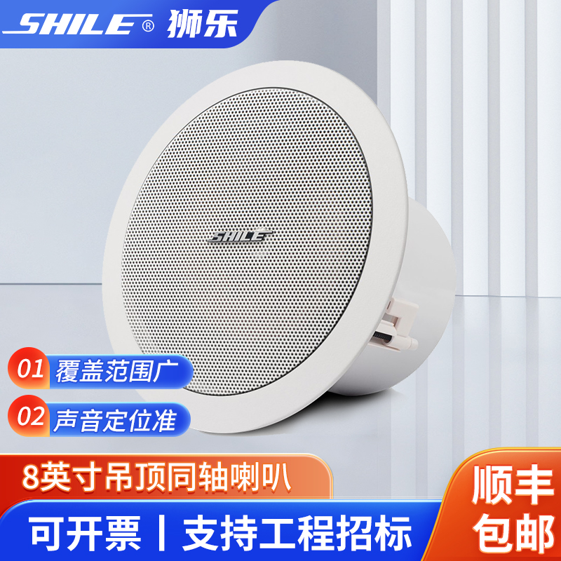 狮乐（SHILE）BX-308寸定阻式40W同轴喇叭（需要搭配功放使用）