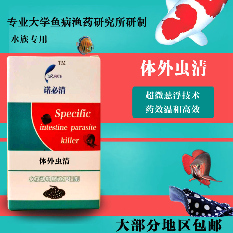 体外寄生虫鱼虱七彩罗汉锦鲤水族