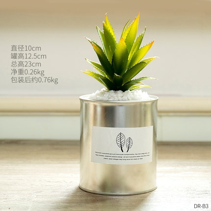 创意个性家居仿真植物小盆栽假多肉客厅餐桌书房店铺装饰品摆件