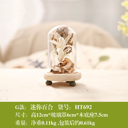 zakka创意家居装饰品摆件干花玻璃罩客厅卧室电视柜摆设结婚礼物