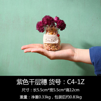 创意仿真盆栽植物小摆件室内客厅绿植玻璃盆景摆设置物架窗台装饰